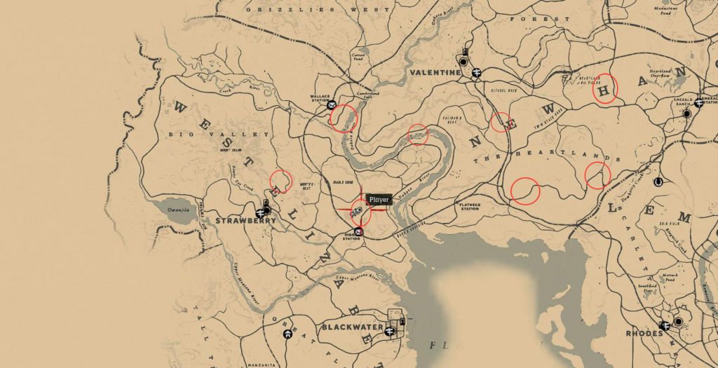 Red Dead Redemption 2: карта и прохождение Высокие ставки
