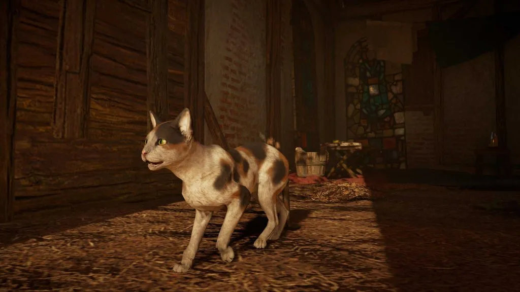 Assassin’s Creed: Valhalla: коты Эврё — где найти 16