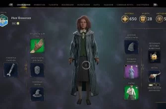 Вместимость инвентаря — как увеличить Hogwarts Legacy