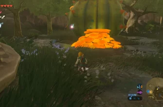 Время прохождения The Legend of Zelda: Breath of the Wild 1