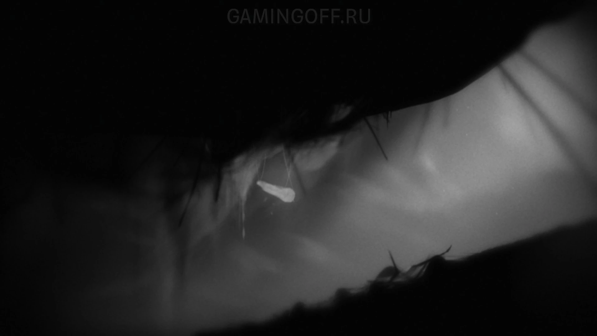 Limbo: пошаговое прохождение 23 Limbo: пошаговое прохождение