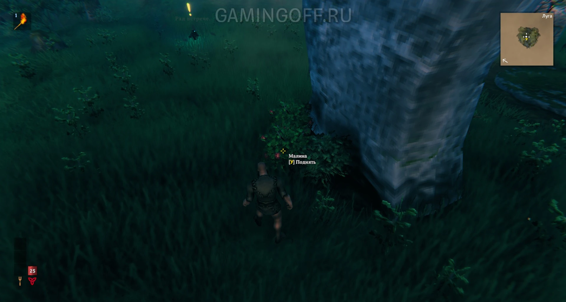 Первая ночь или старт для новичка в Valheim — гайд