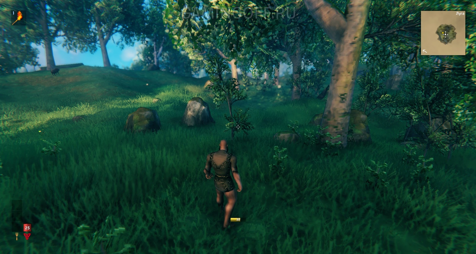 Первая ночь или старт для новичка в Valheim — гайд