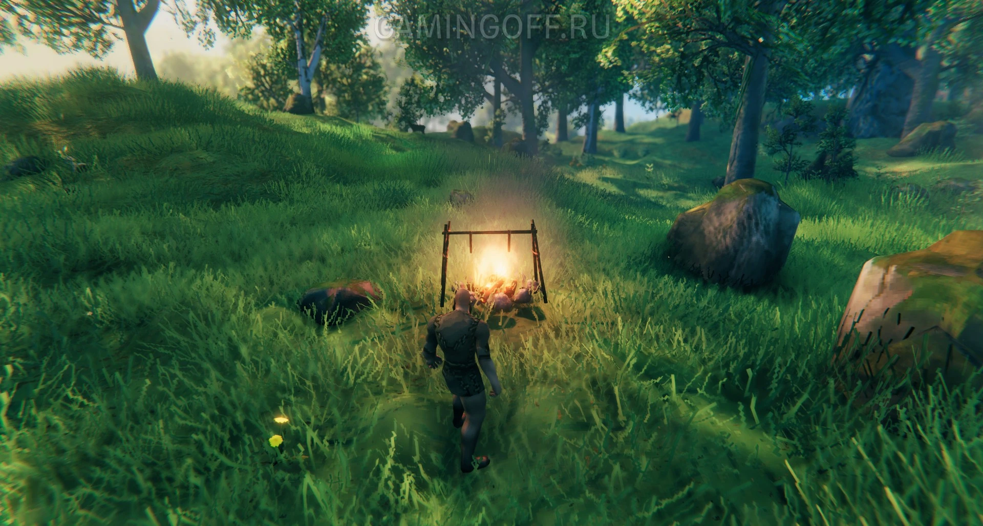 Первая ночь или старт для новичка в Valheim — гайд