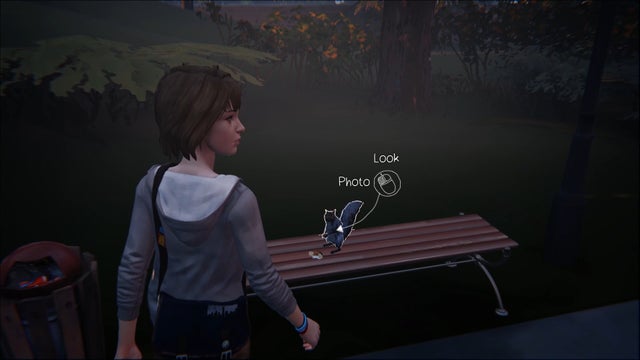 Life is Strange — прохождение на 100%